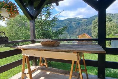 Hotel/Pensiune, de 20 mp, în Șimon - 20