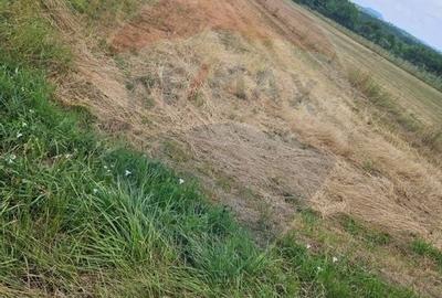 Teren 1,945mp Sarasau / Drumul PRINCIPAL - 3