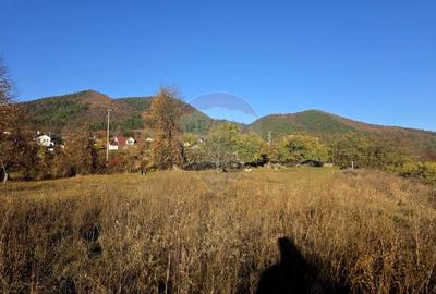 Teren 6,874mp Alexandru cel Bun / Strada plopusor - 5