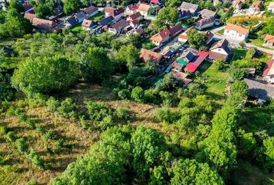 FILM!Areal apreciabil,casa+domeniu de 3.500mp,Sancraiu,vecin Sfantu Gheorghe si FILM!Areal apreciabil,casa+domeniu de 3.500mp,Sancraiu,vecin Sfantu Gheorghe si - 48