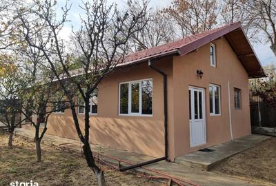 Casă cu 8 camere decomandat cu Teren 2356 Mp în Călinești - 4