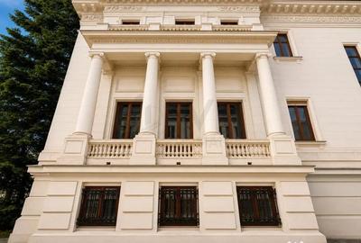Casă cu 11 camere cu Teren 2100 Mp în Romană - 3