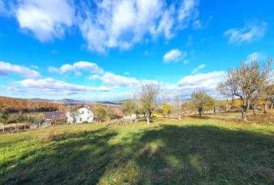 Teren intravilan 38 ari, cartierul Raal - 4