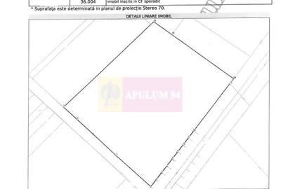 Vanzare teren intravilan agricol in zona Mihailesti, Giurgiu - 7