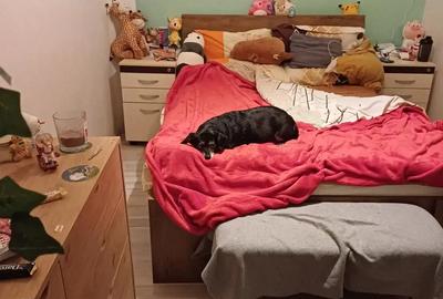 Casă cu 2 camere în Rahova - 7