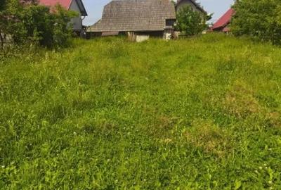 Casă cu 4 camere cu Teren 2600 Mp în Horodnic - 5