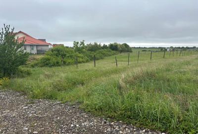 Teren Construcții extravilan de 1079 mp, în Moșnița Nouă - 2