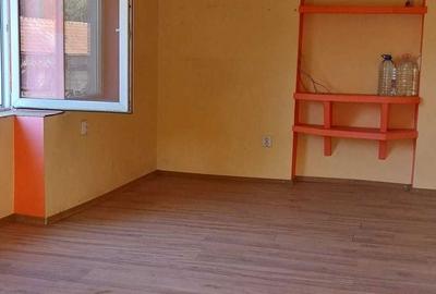 Casă cu 4 camere în Peșteana - 1
