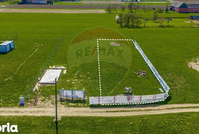Teren de 730 mp, în Dobârlău - 7