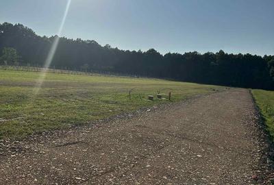 Teren de 1200 mp, în Lăpuș - 4