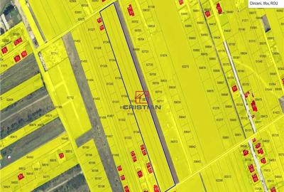 Teren de 13500 mp, în Domnești - 1