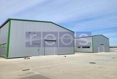 De inchiriat depozit modern in nordul Bucurestiului,  Afumati - 2