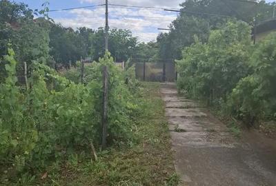 Casă cu 6 camere cu Teren 1401 Mp în Afumați - 6