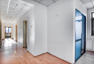 Vila, 496 mp utili, 12+ locuri de parcare, hala / Pajura - Poligrafiei - 8