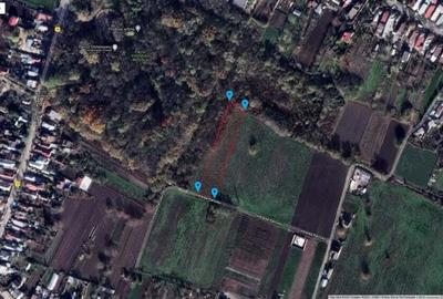 Teren de 4000 mp, în Măgurele