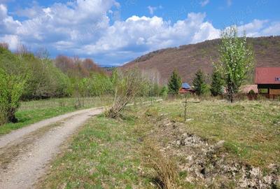 Teren de 4000 mp, în Satu Mare - 3