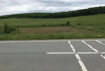 Casă cu 3 camere cu Teren 6000 Mp în Lunca - 2