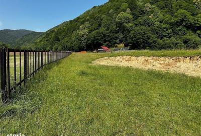 Spațiu comercial, în Plaiul Foii - 11