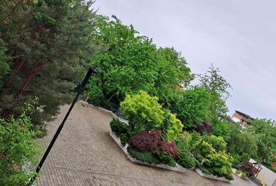 Birou, de 52 mp, în Central - 8