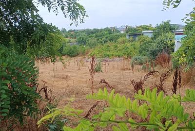 Lumina, teren intravilan între case, toate utilitățile. - 5