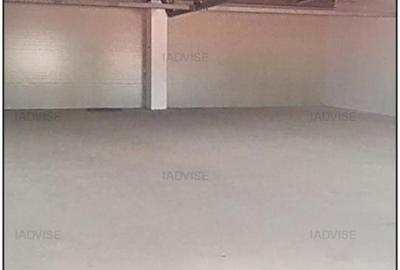 Hala productie/Spatiu productie - 3