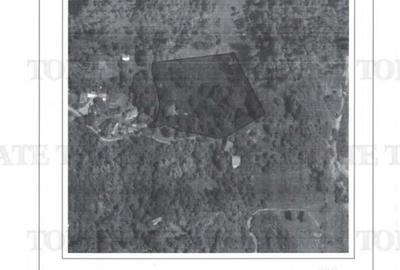 Teren de 11230 mp, în Breaza de Sus - 2