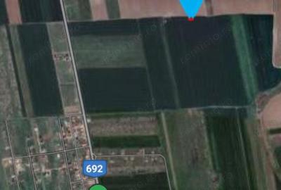 Sanandrei Teren extravilan - 2