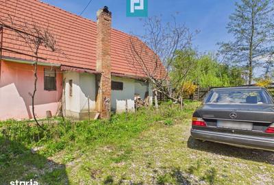 Casă cu 5 camere cu Teren 8000 Mp în Sânmartin - 9