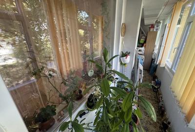 Apartament 4 camere zona City Park - 12