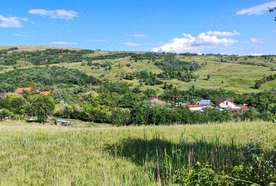 Teren de 5000 mp, în Boboci - 5
