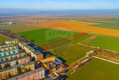 Teren 6,100 mp Brasov / Intravilan/Sacele/Disponibilitate schimb - 3
