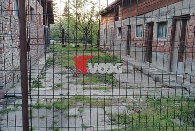 Casă cu 3 camere cu Teren 910 Mp în Dumbrăvița - 2