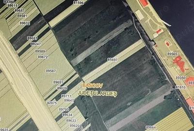 Vand teren in com. Bascov, vis a vis de hotel Star, extravilan 4778 mp - 2
