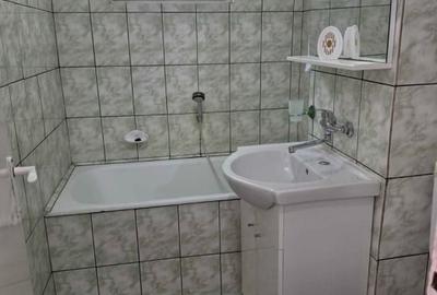 Apartament cu 2 camere semidecomandat în Păcurari - 3
