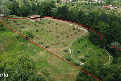 Teren de 6200 mp, în Cicănești - 16