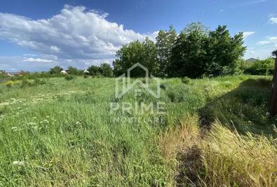 Teren de 898 mp, în Cetate - 1
