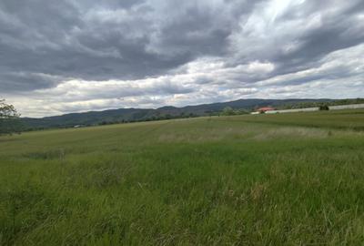 Teren agricol extravilan de 10400 mp, în Vințu de Jos - 1