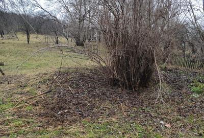 Teren de 1000 mp, în Secăria - 3