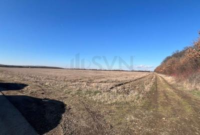 Teren Construcții intravilan de 15200 mp, în Corbeanca - 3