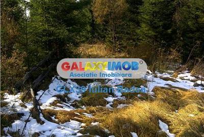 Teren intravilan de 12730 mp, în Central - 9