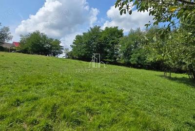 Teren, Albe?ti, str Podului - 8