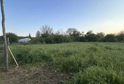 Spațiu comercial, în Periș - 1