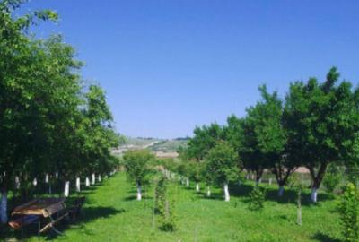 Casa de vanzare in Calan - 7