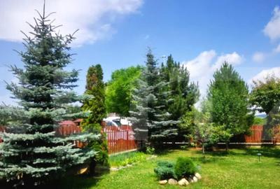 Casa individuala, 134 mp, teren 489 mp, Gilau - 5