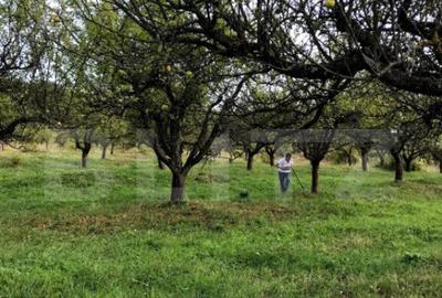 1.07 Ha in Slatinita - 6