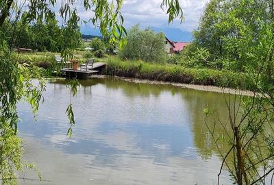 Teren Construcții intravilan de 30000 mp, în Exterior Est - 9