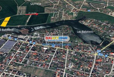 Teren Construcții intravilan de 5000 mp, în Balotești - 3