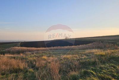 Teren extravilan 30077mp Stroiesti / Soseaua DN17, Suceava - 8