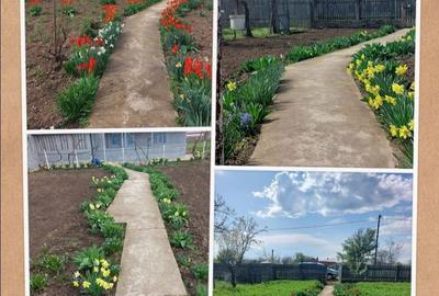 Casă cu 4 camere în Băceni - 1