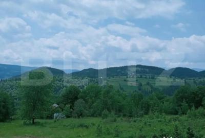 Teren în Scărișoara - 3